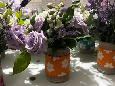 Stems for Seniors Image